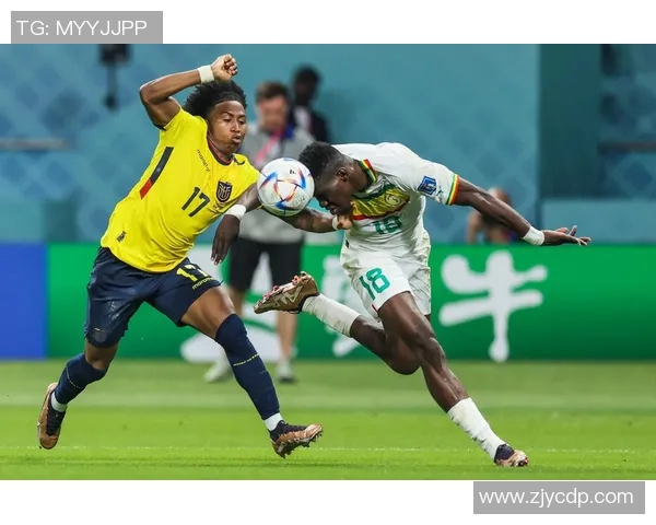 塞内加尔足球明星盘点及其在国际赛场上的辉煌成就