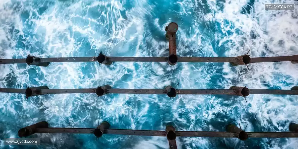 超清画质,流畅如临现场!📱⚽ 体育直播,让观赛成为享受!